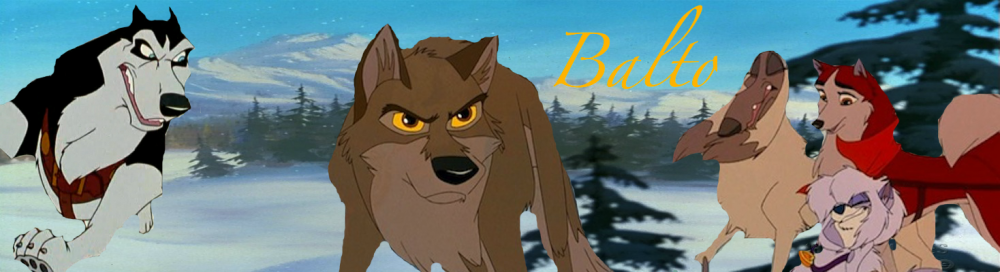 First Banner