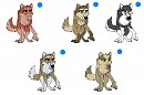 Soon to be adoptables