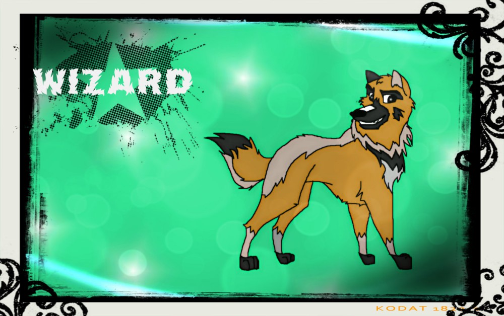 Wizard