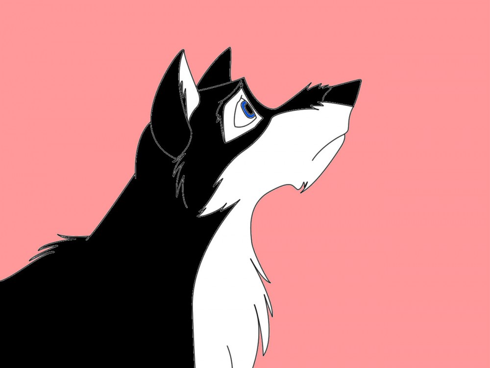 Adoptable 