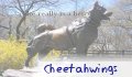 cheetahwings