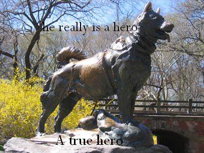 hero