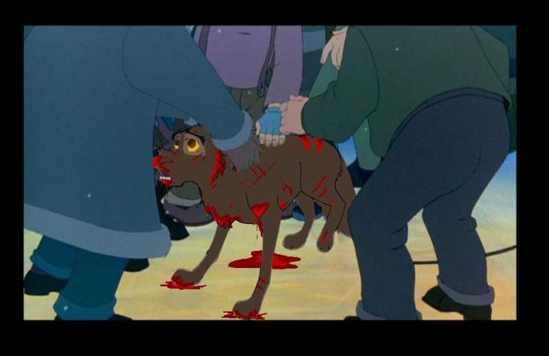 Dog fights !!!!!!!!!!!!!