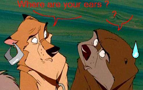 Where are your ears ??????