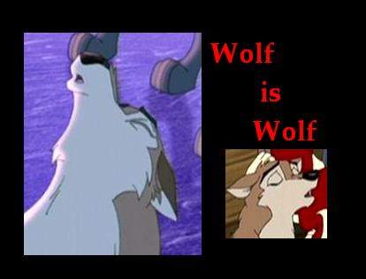 Wolf is wolf