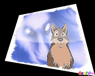 balto the white wolf the lol