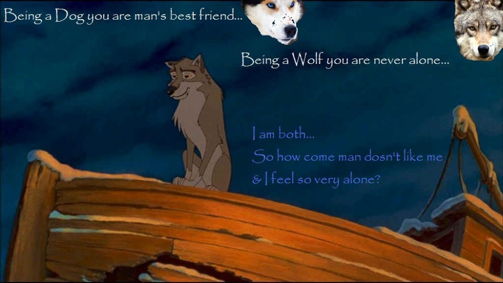 The Troubles of a Wolfdog!