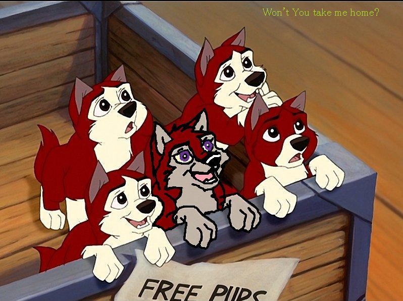 Won't You Take Me Home?