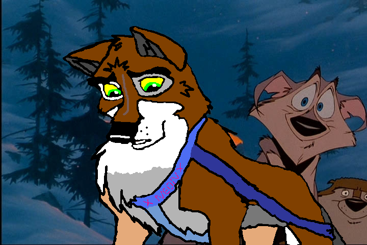I'm A Sled Dog? Are You Sure?