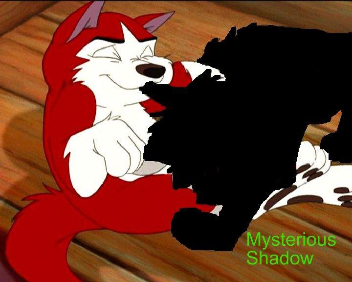 shadow twin