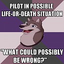 Dusty FailHusky 1