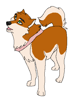 Momo Reference