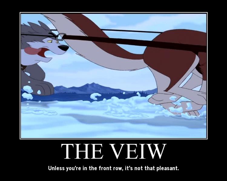 A really crappy veiw