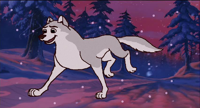 Cole in the woods