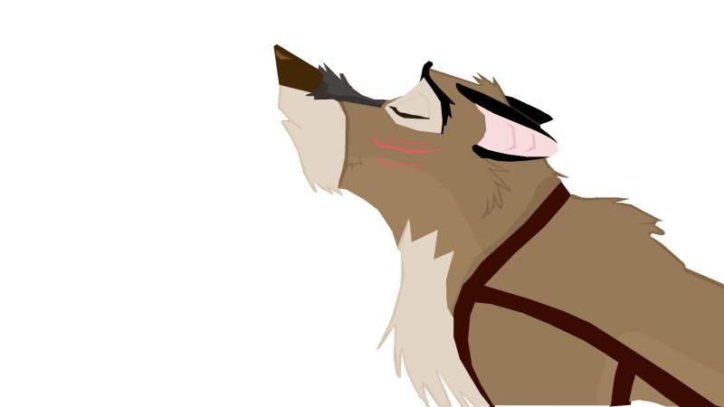 raider