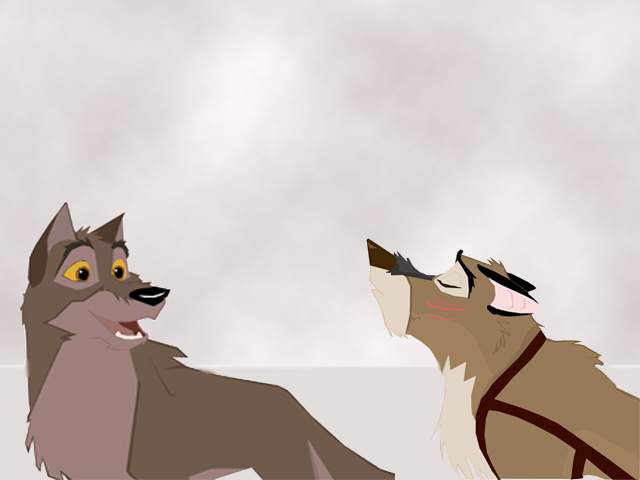Balto and raider