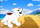 Det Puppy
