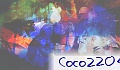 Coco2204