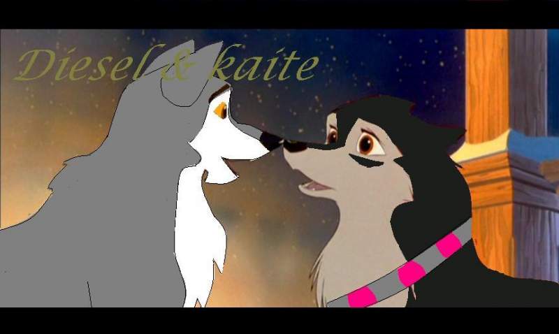 diesel and kaite