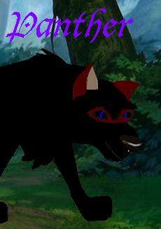 panther