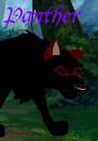 panther