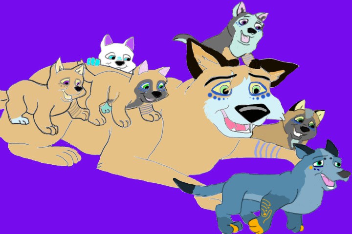 Meeka and the pups