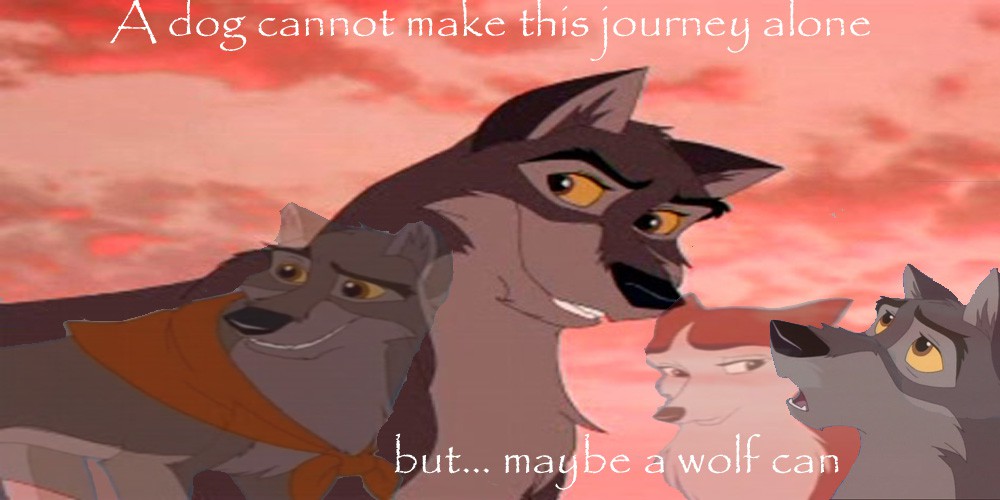 maybe a wolf can