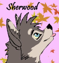 Sherwood Avatar