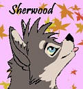 Sherwood Avatar