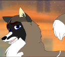 Akila