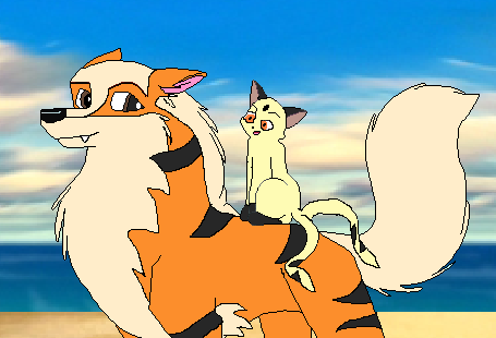 Arcanine and Kirara