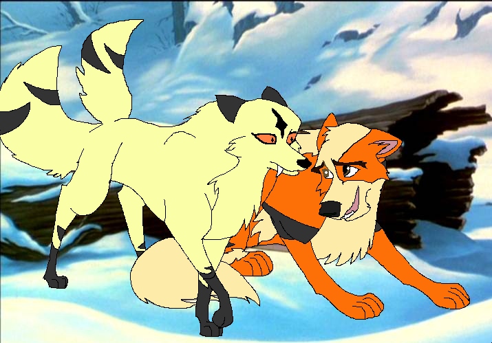 Arcanine and Kirara
