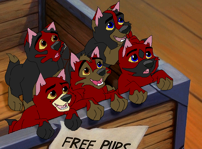 Jona and Jolt's pups 