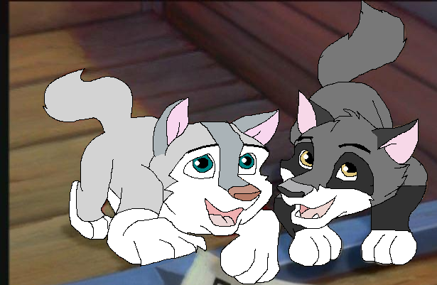 Iron and Ice i adopted them from blackhusky