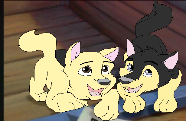 Powder and Blaze i adopted them from blackhusky
