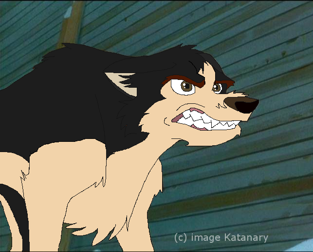 Bison I Adopted Him From BlackHusky