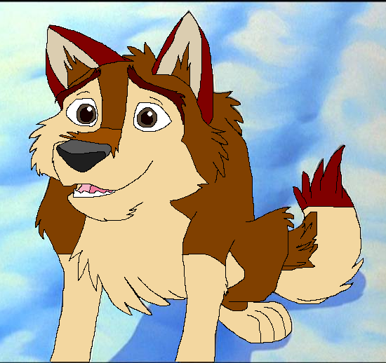 Thunder i adopted him from wildchild
