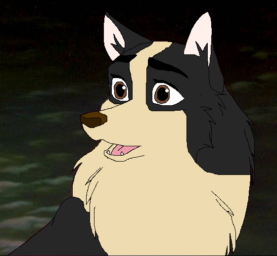 Raven i adopted her from Blackhusky
