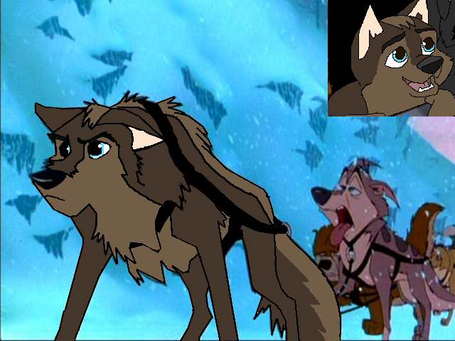 My nephew Jacob as a wolf again
