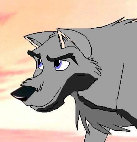 Viktor I Adopted Him From Saske
