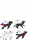 Clark and Shadow's pups in Role play