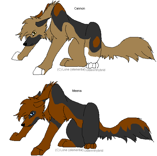 Cannon and Meena Made by lone for me