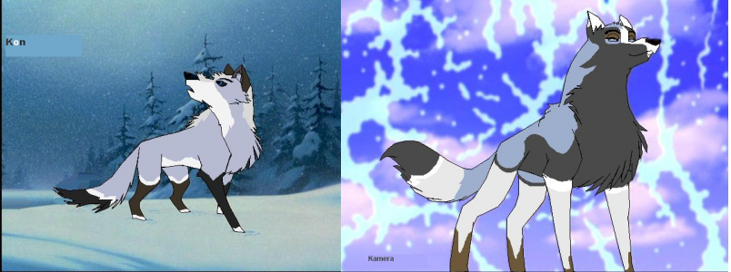 My Two Newest Wolf Chars' Kon and Kamera