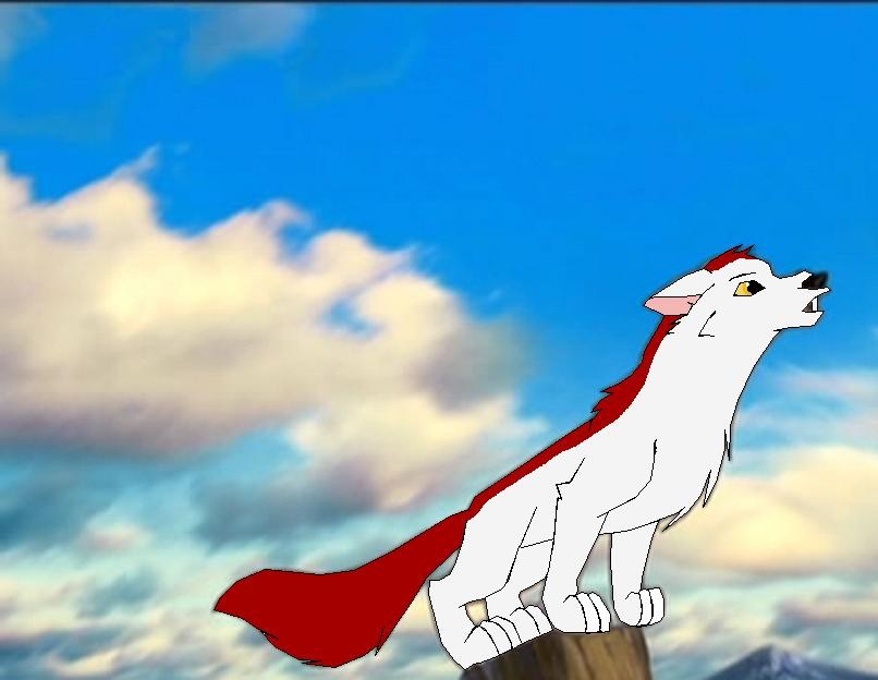 Tien for Cat