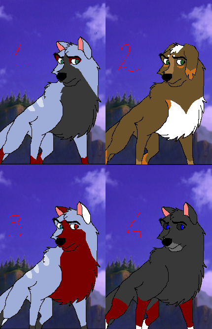 Oldies for adoption