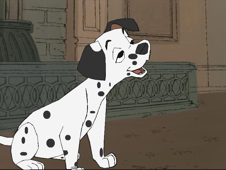 Request from Kohaku his Dalmation Kell