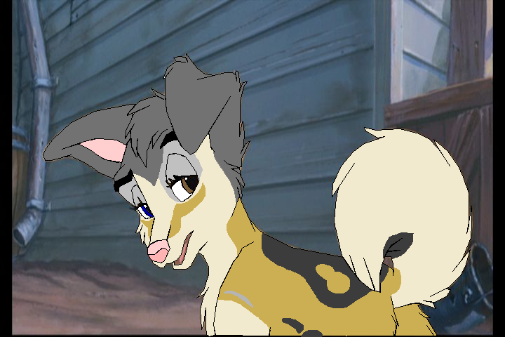 This is a Birthday Present for my girl Shimmer