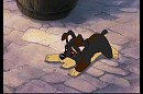 Buck and Char Fan pup