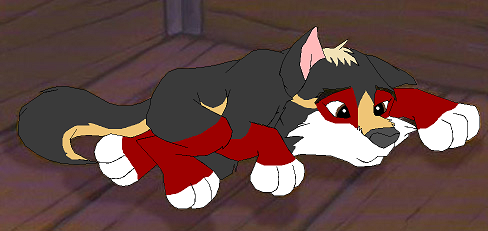Mask and Cooper's fan pup