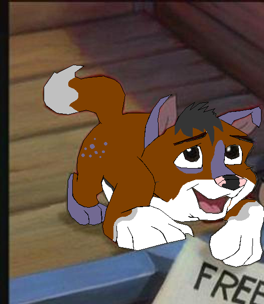 Ivy and Mitch fan pup for Tadie 